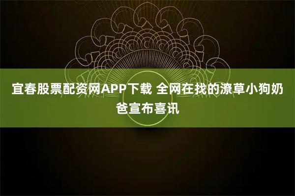 宜春股票配资网APP下载 全网在找的潦草小狗奶爸宣布喜讯